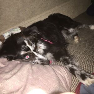 Meet your Posher, Olivia